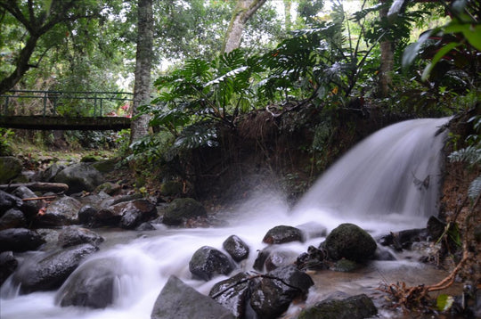 Retreat "Zoom In" - Costa Rica